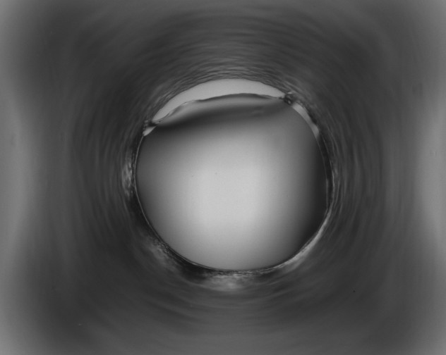 X0000086010190200704131836