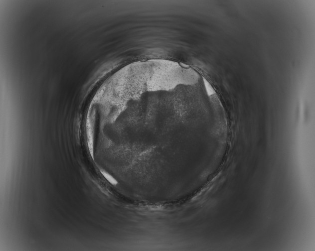 X0000086010194200704131835