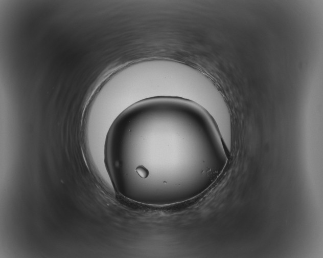X0000086010195200704131835