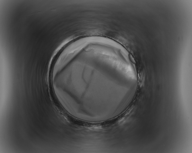 X0000086010196200704131835