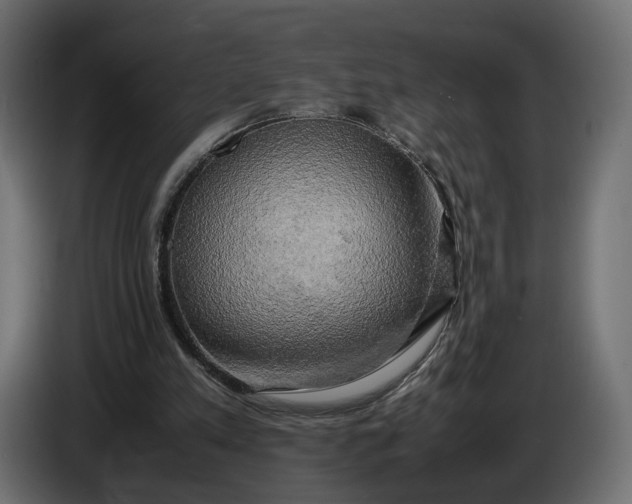 X0000086010197200704131835