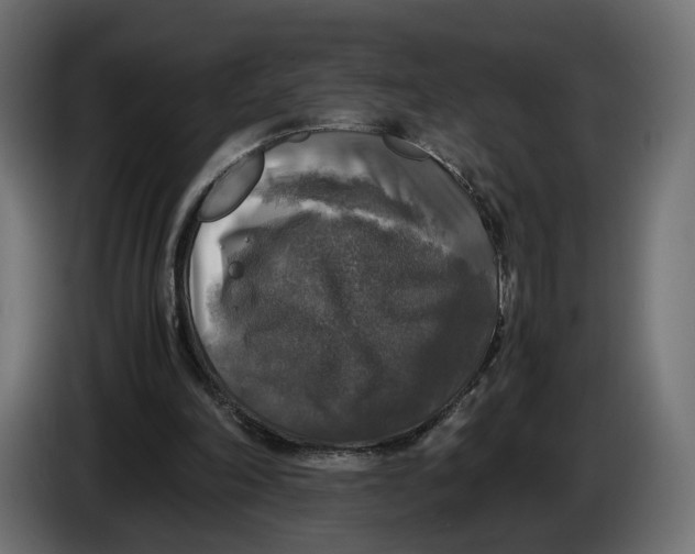 X0000086010198200704131835