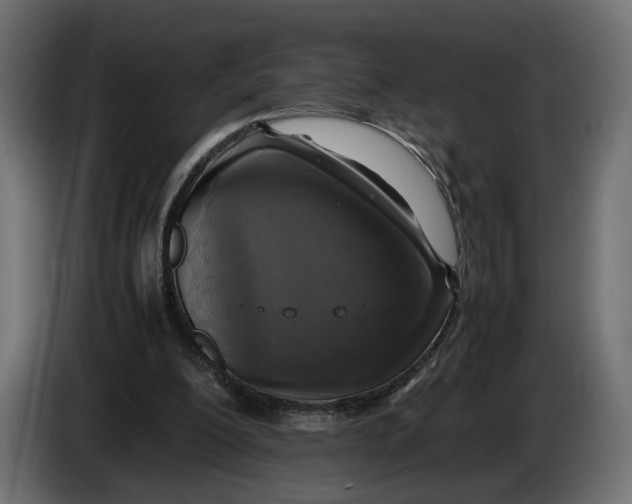 X0000086010200200704131835