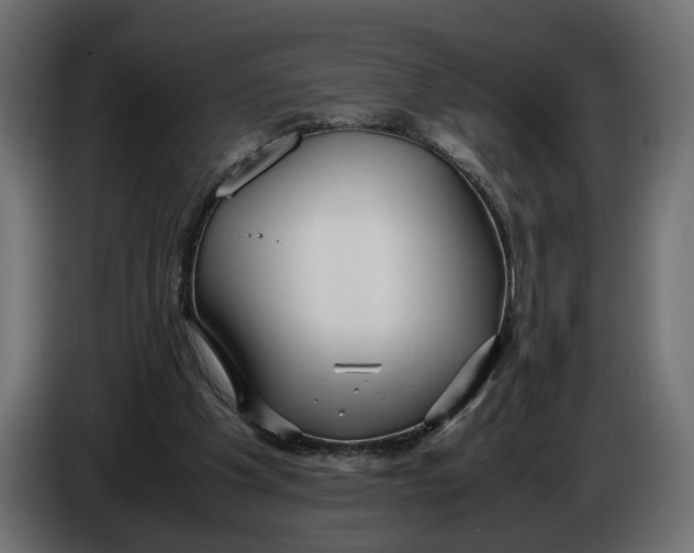 X0000086010201200704131835