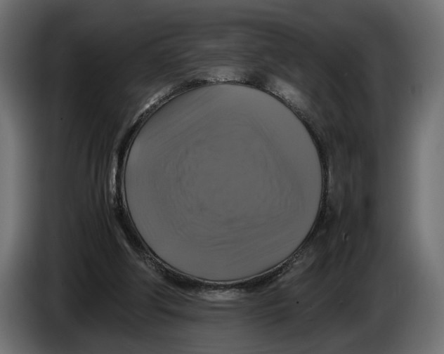 X0000086010202200704131835