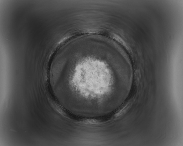 X0000086010203200704131835