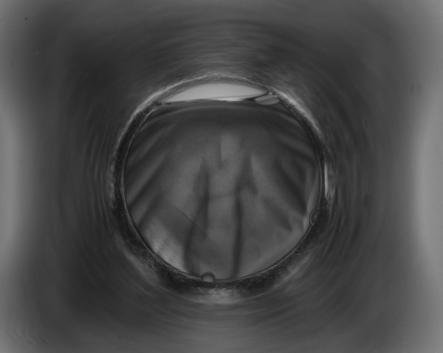 X0000086010204200704131835