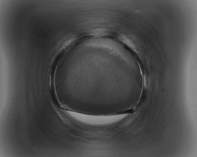 X0000086010205200704131835