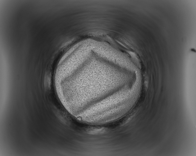 X0000086010206200704131835