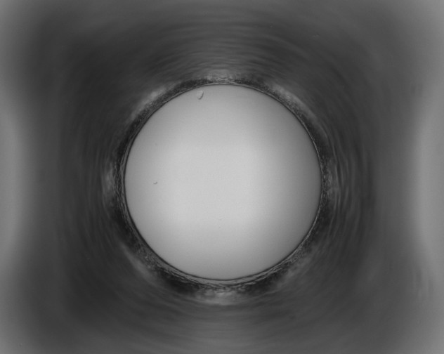 X0000086010208200704131835