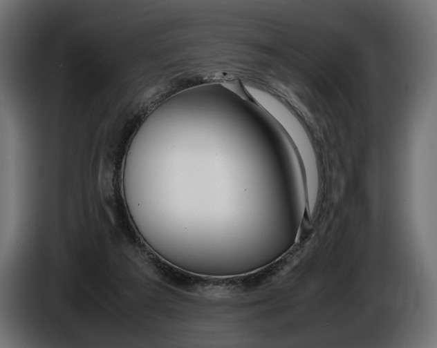 X0000086010209200704131835