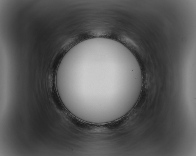 X0000086010210200704131835