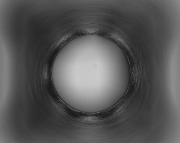 X0000086010212200704131835