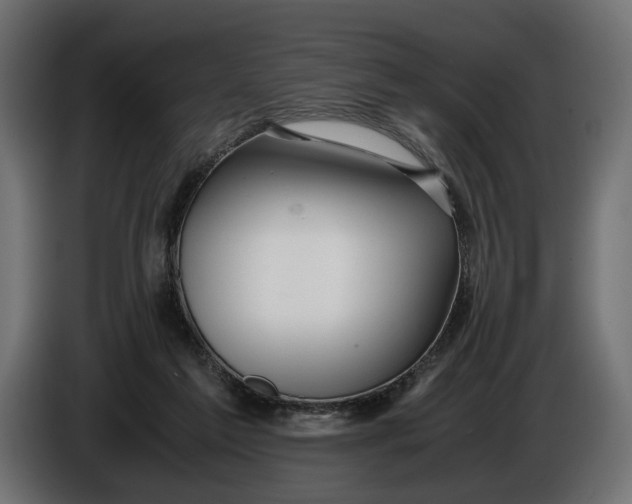 X0000086010213200704131835