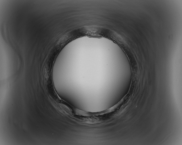 X0000086010215200704131835