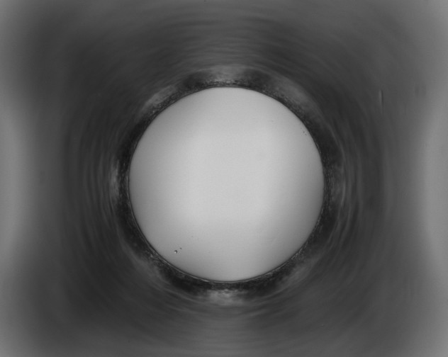 X0000086010216200704131835