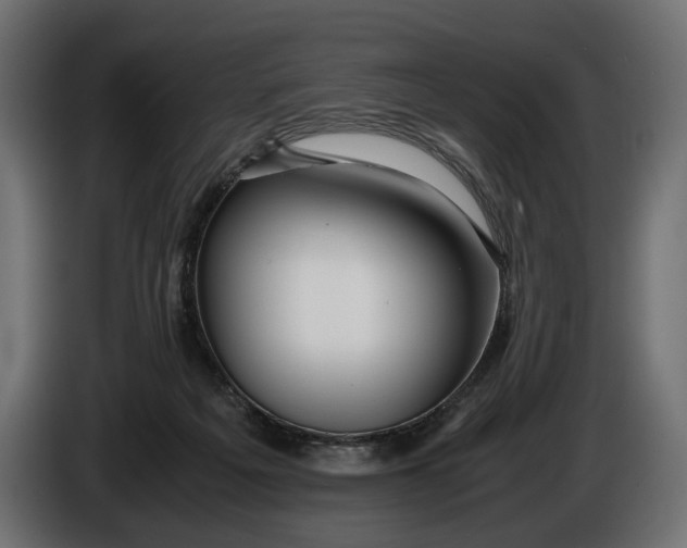 X0000086010217200704131835