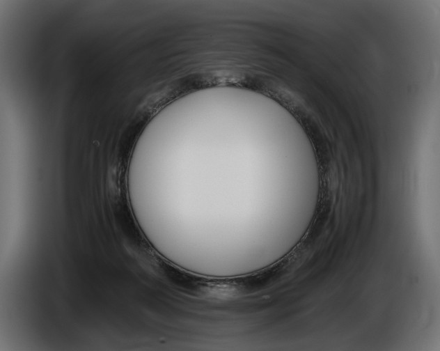 X0000086010218200704131835