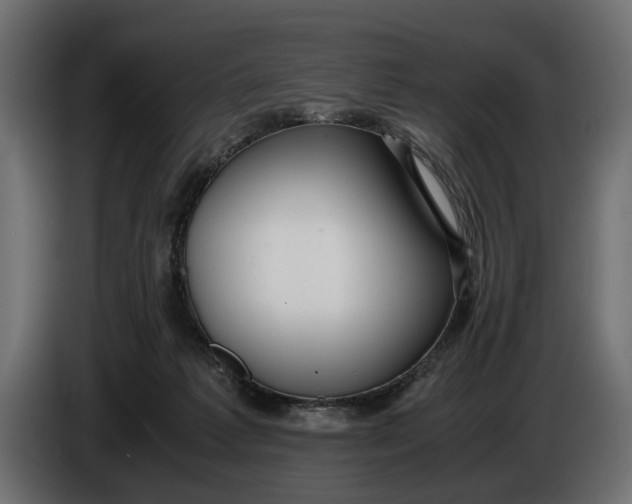 X0000086010221200704131835