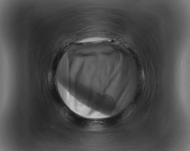 X0000086010222200704131835