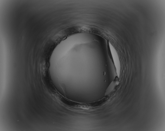 X0000086010223200704131835