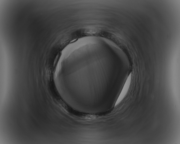 X0000086010227200704131835