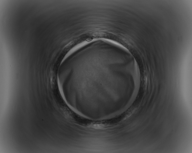 X0000086010228200704131835
