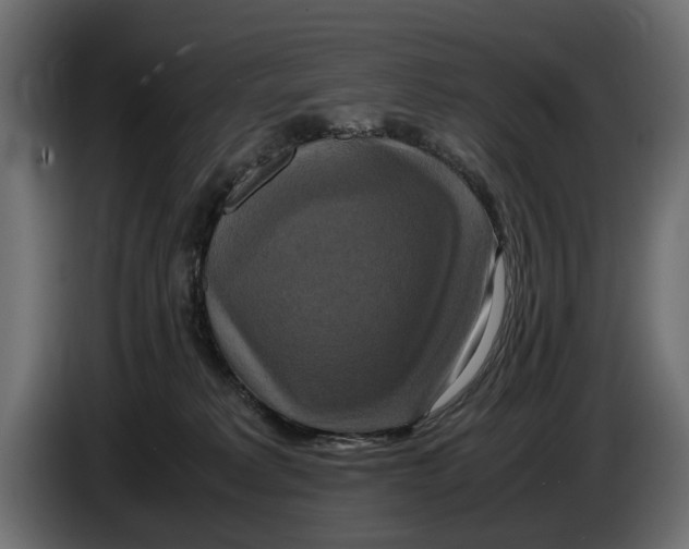 X0000086010229200704131835