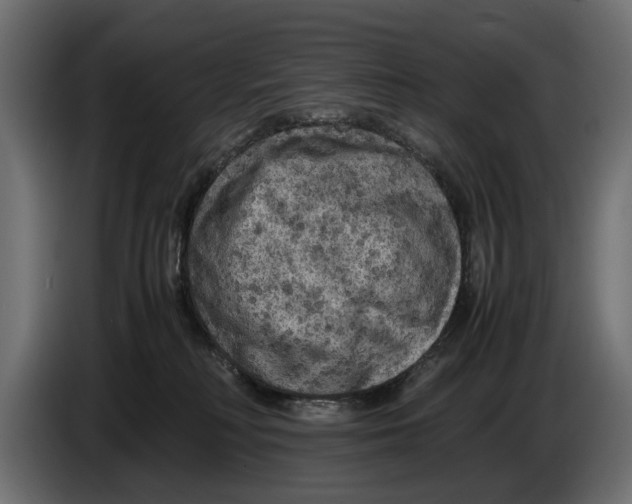 X0000086010230200704131835