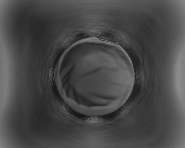 X0000086010231200704131835