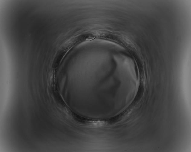 X0000086010233200704131834