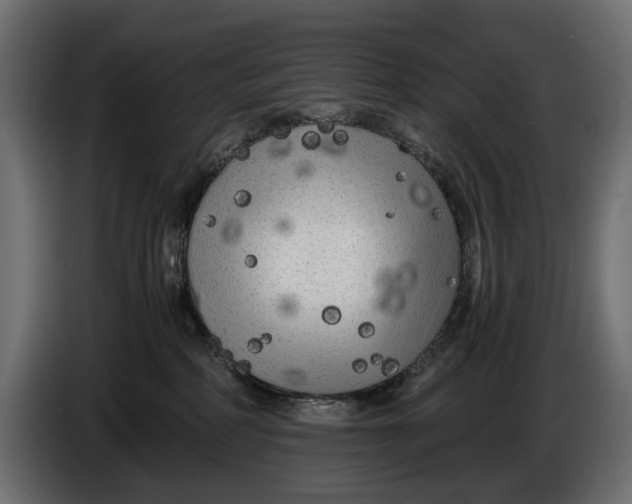 X0000086010234200704131834