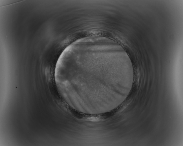 X0000086010236200704131834