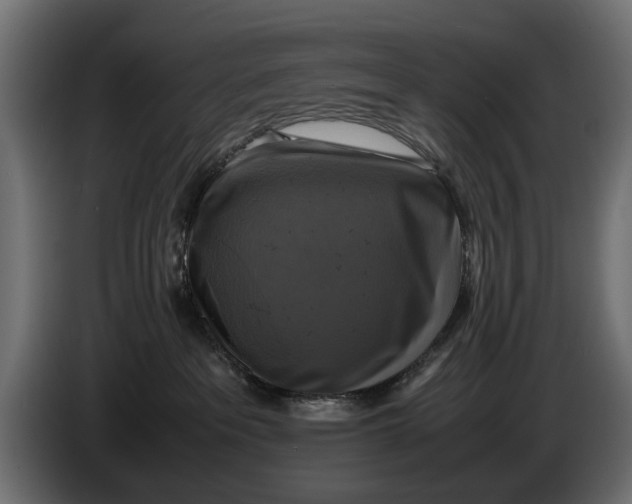 X0000086010237200704131834