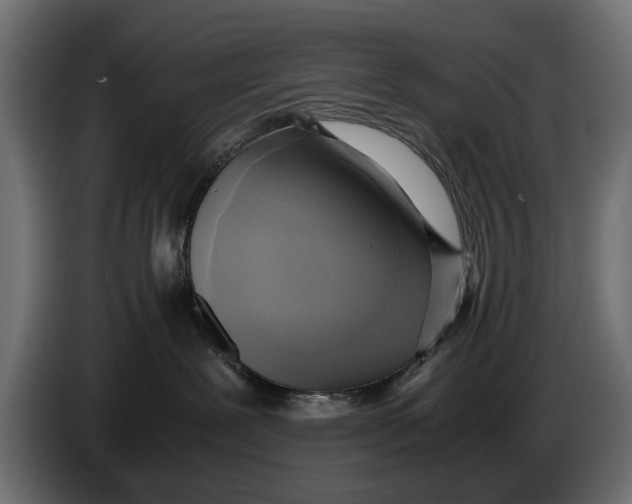 X0000086010239200704131834