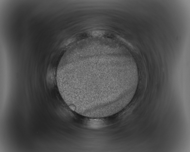 X0000086010240200704131834