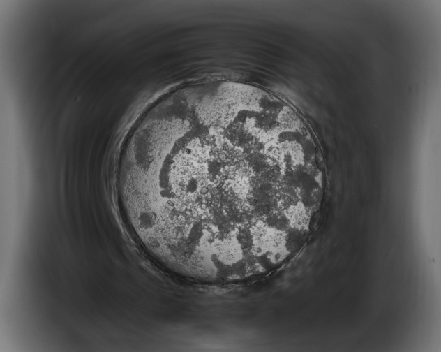 X0000086010241200704131834