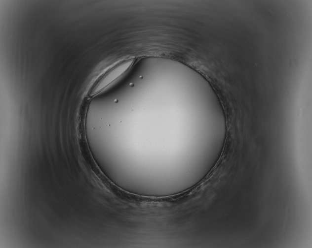 X0000086010242200704131834