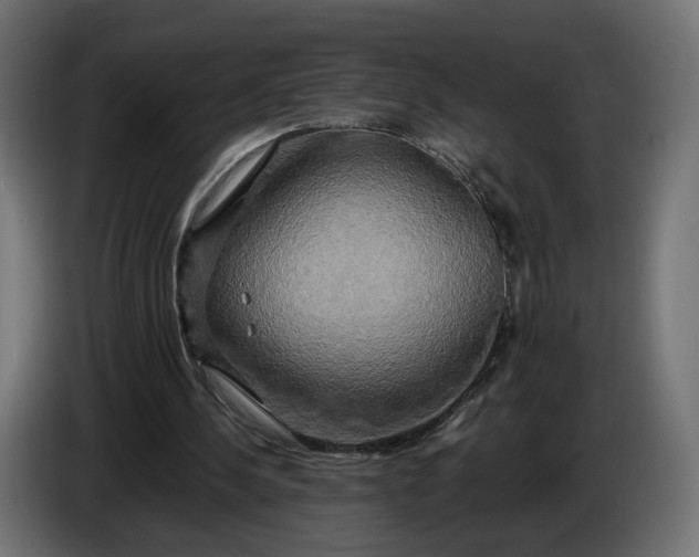 X0000086010244200704131834
