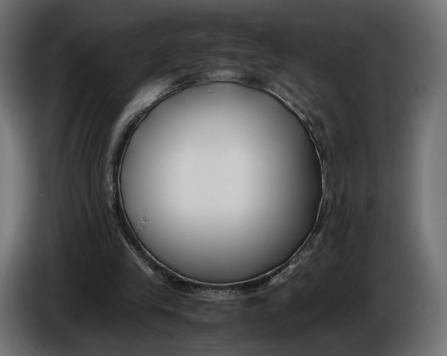 X0000086010245200704131834