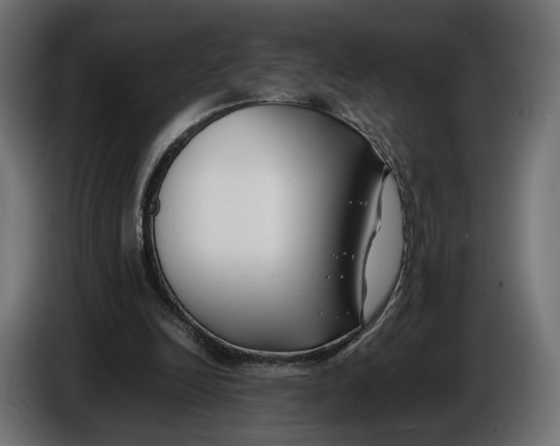 X0000086010246200704131834
