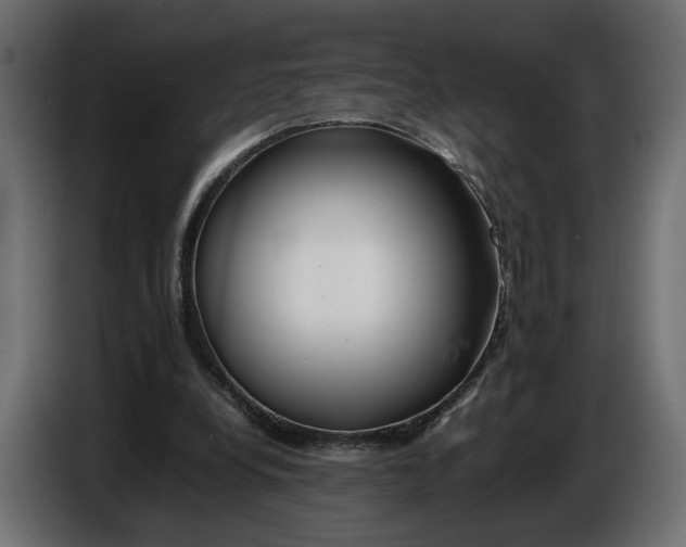 X0000086010248200704131834
