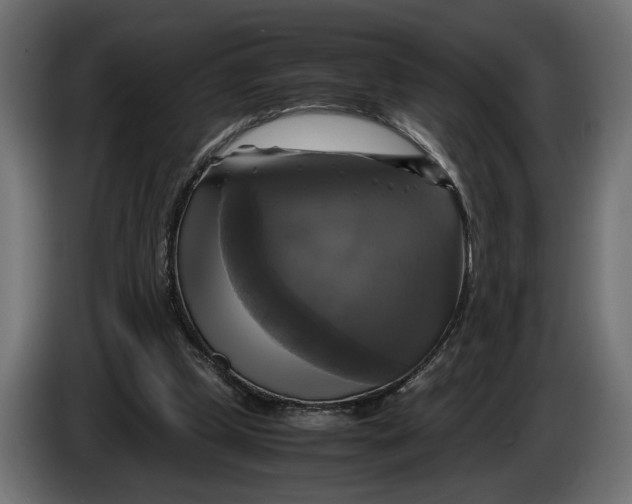 X0000086010249200704131834
