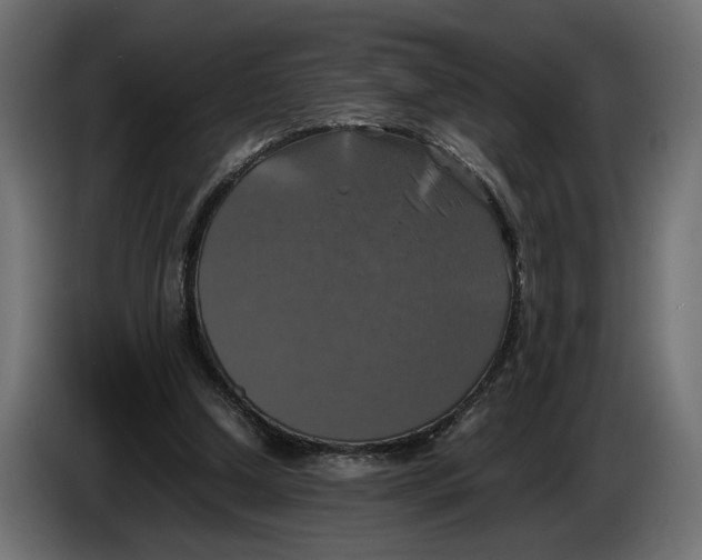 X0000086010250200704131834