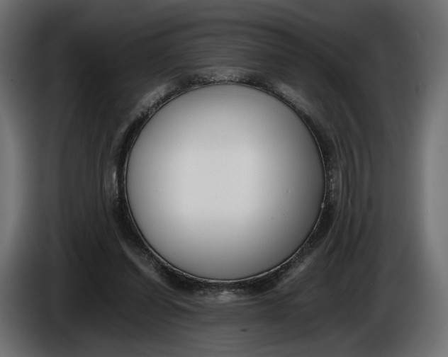 X0000086010254200704131834