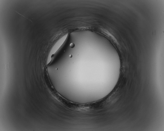 X0000086010257200704131834