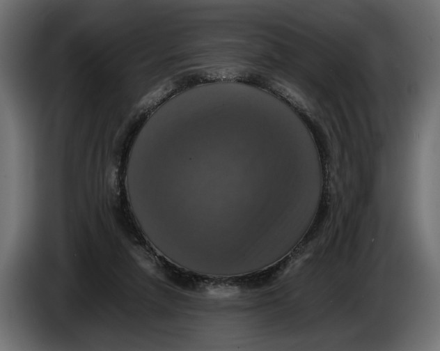 X0000086010258200704131834