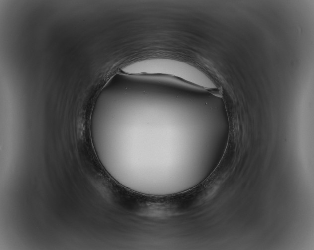 X0000086010259200704131834