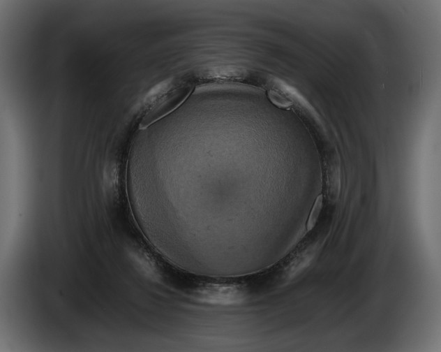 X0000086010260200704131834