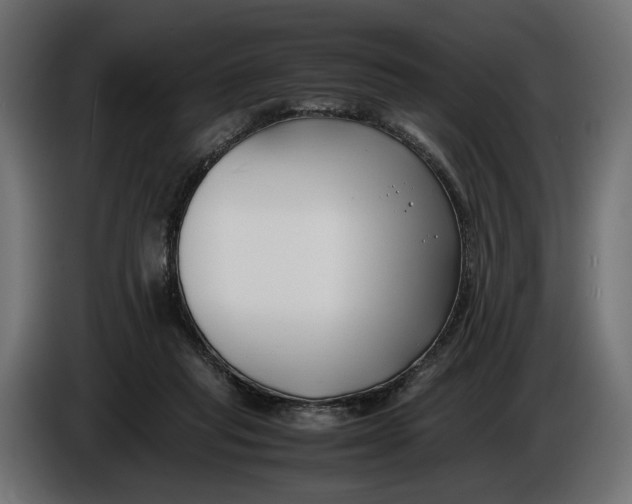X0000086010261200704131834